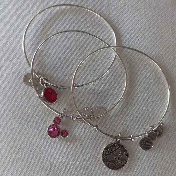 Alex and Ani bracelet 9 totel - Picture 10 of 10